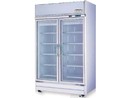 雙門冷藏展示冰箱